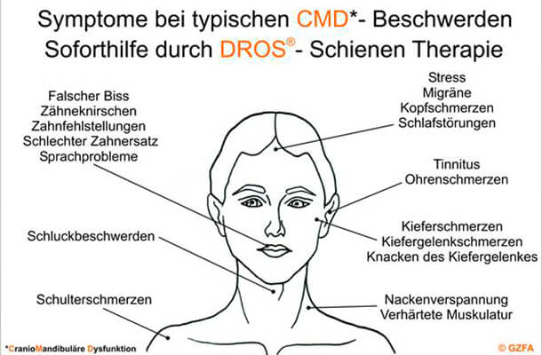 RINGGLO 2 Stück Bergungsbretter, Traktionsschienen mit Zähnen